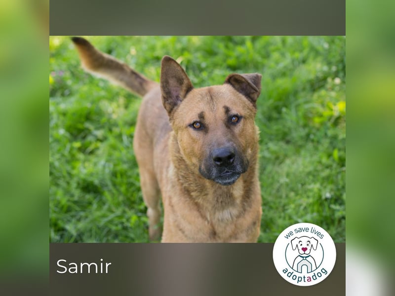 Samir sucht ein Zuhause