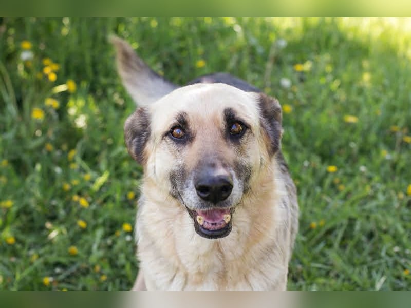 Chiku: Entspannt, entspannter, Chiku!