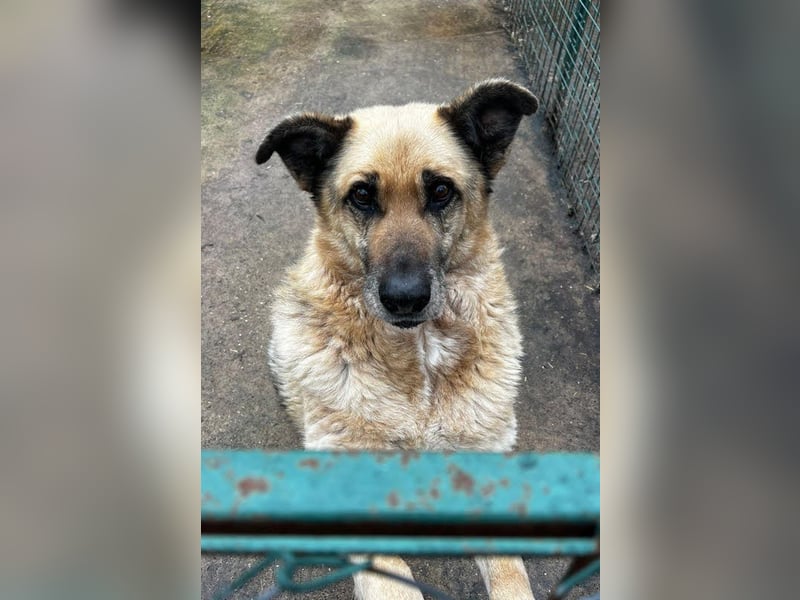 Chiku: Entspannt, entspannter, Chiku! Chiku: Entspannt, entspannter, Chiku!