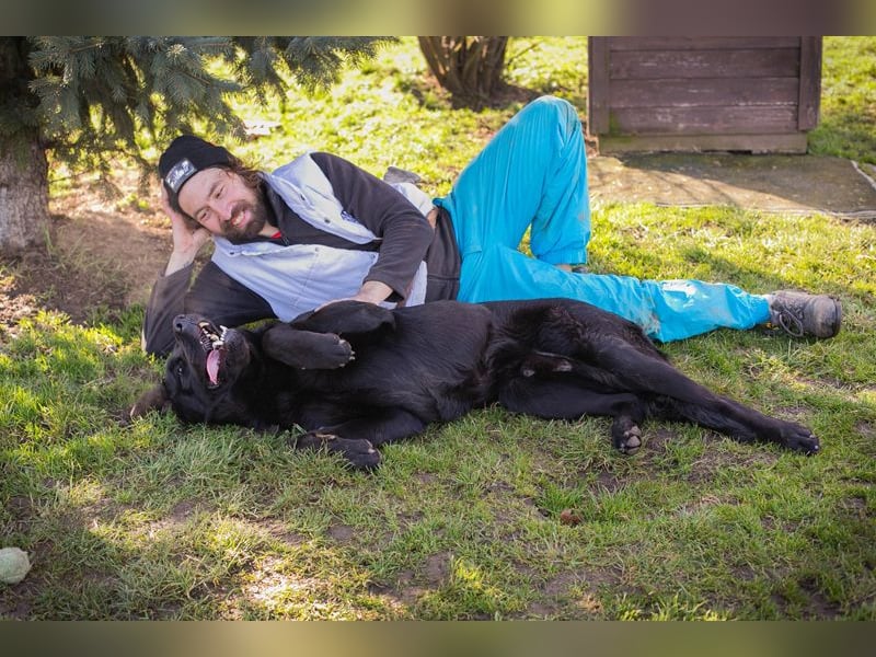 Knut sucht ein Zuhause