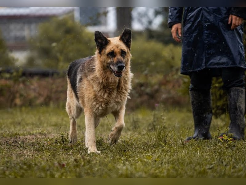 Chiku: Entspannt, entspannter, Chiku!