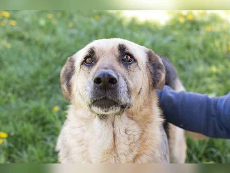 Chiku: Entspannt, entspannter, Chiku! Chiku: Entspannt, entspannter, Chiku!