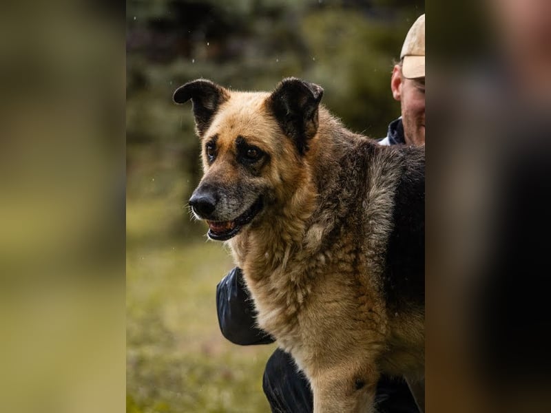 Chiku: Entspannt, entspannter, Chiku!