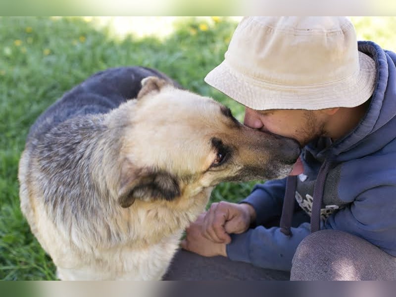 Chiku: Entspannt, entspannter, Chiku! Chiku: Entspannt, entspannter, Chiku!