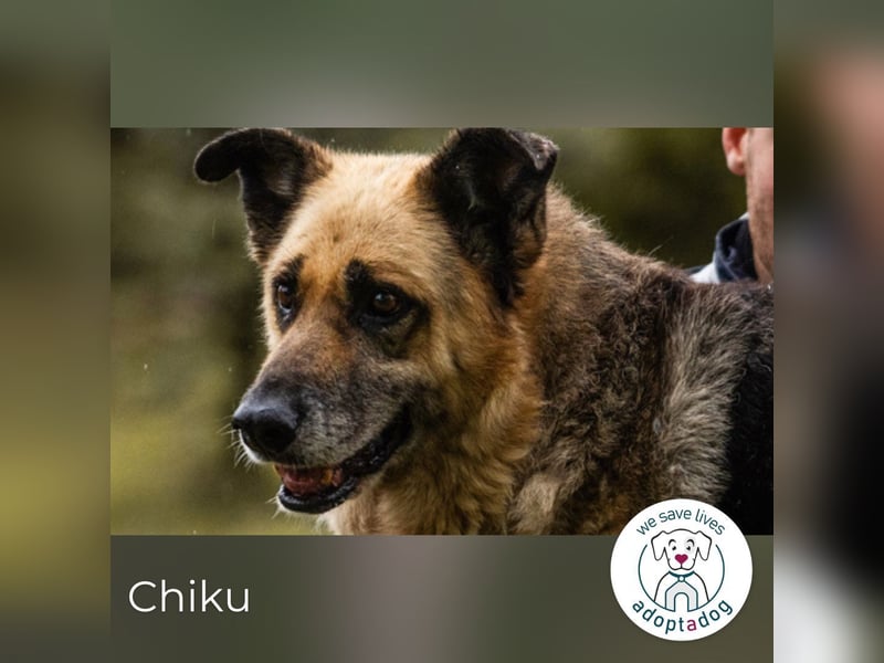 Chiku: Entspannt, entspannter, Chiku! Chiku: Entspannt, entspannter, Chiku!