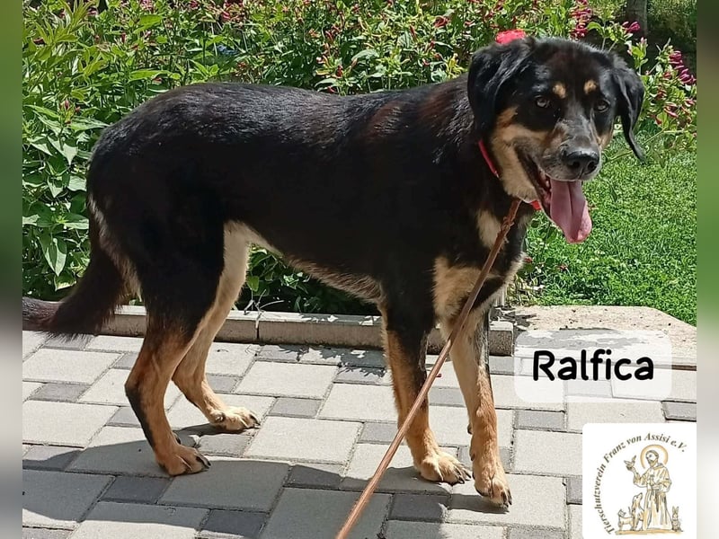 Ralfica – Manchmal braucht ein Herz nur den richtigen Menschen!