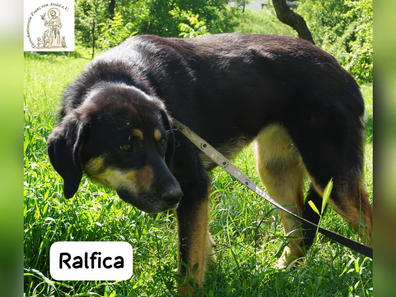 Ralfica – Manchmal braucht ein Herz nur den richtigen Menschen!