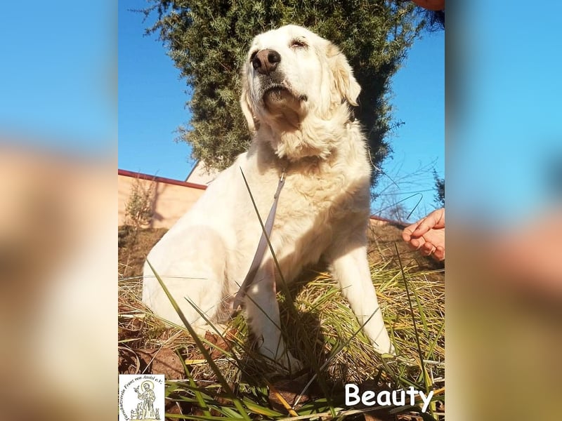 Beauty – für die, die Liebe nicht erklären müssen!