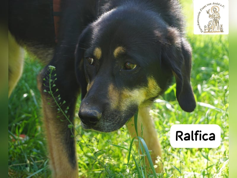 Ralfica – Manchmal braucht ein Herz nur den richtigen Menschen!