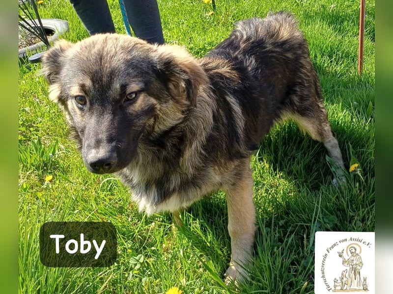 Toby hat Pläne … große!