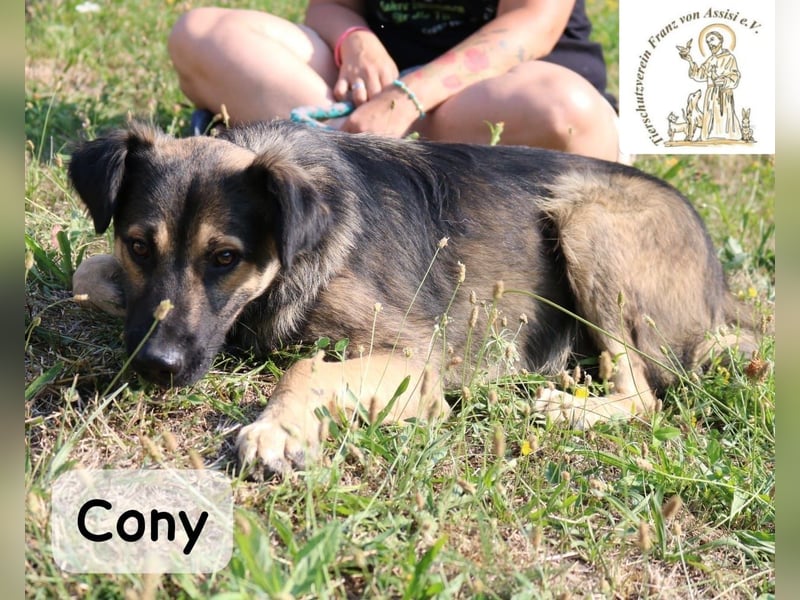Cony – klug, klar, charakterstark!