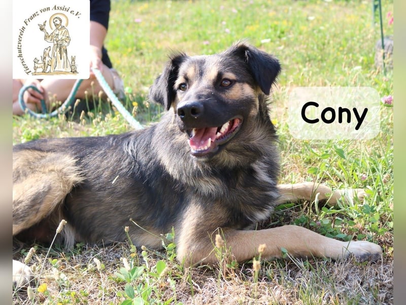 Cony – klug, klar, charakterstark!