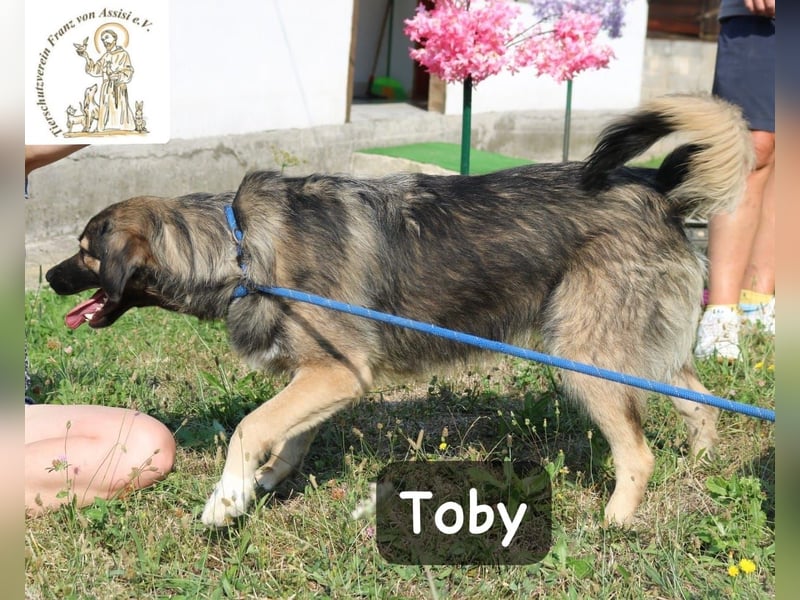 Toby – hat Pläne … große!