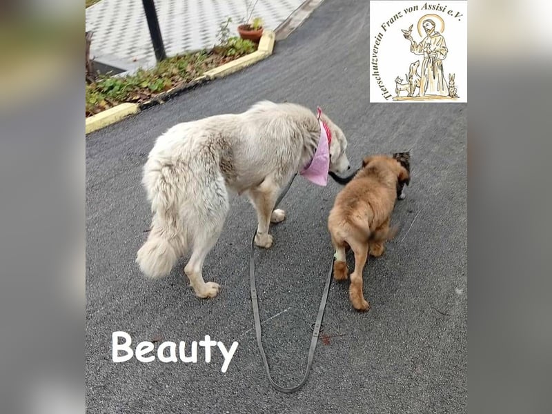 Beauty – für die, die Liebe nicht erklären müssen!