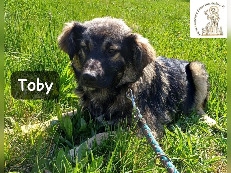 Toby hat Pläne … große!