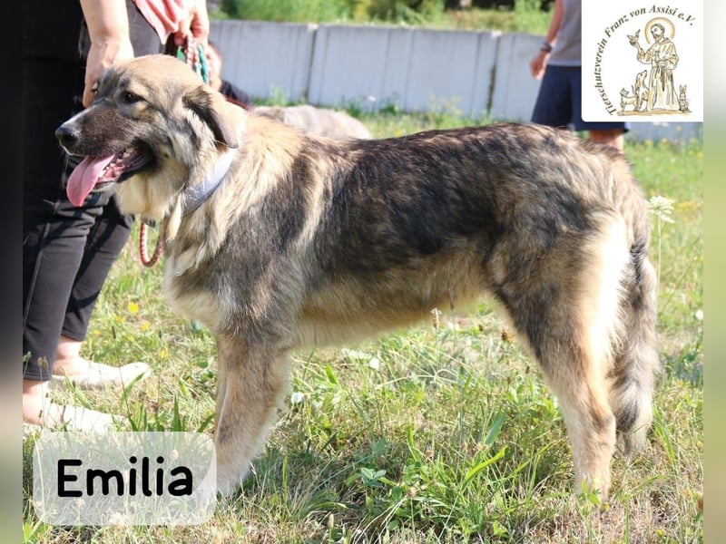 Emilia – mit Klarheit, Herz & Verantwortung durchs Leben!