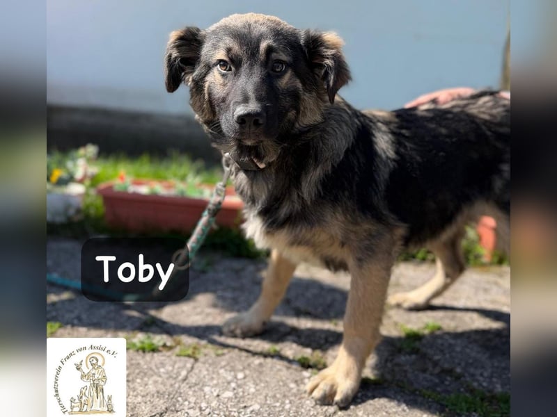 Toby hat Pläne … große!