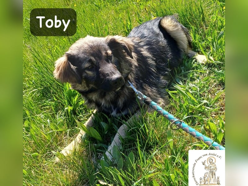 Toby hat Pläne … große!