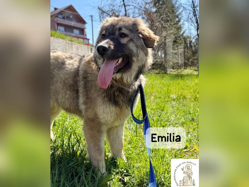 Emilia – mit Klarheit, Herz und Verantwortung durchs Leben!