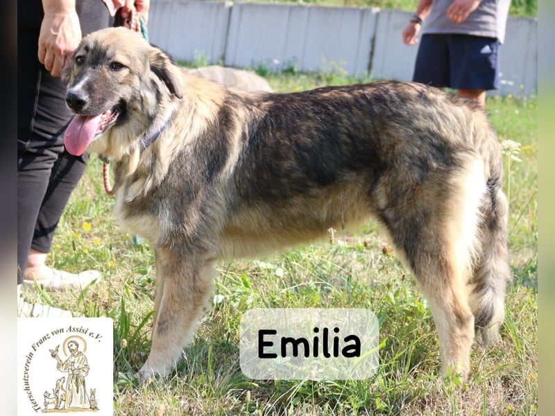 Emilia – mit Klarheit, Herz & Verantwortung durchs Leben!