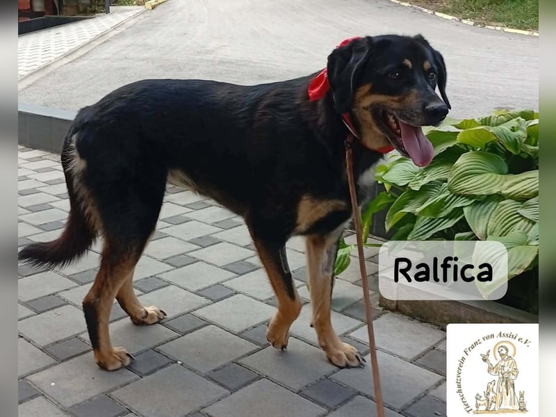 Ralfica – Manchmal braucht ein Herz nur den richtigen Menschen!