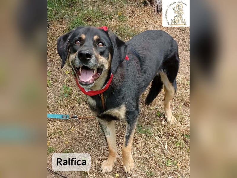 Ralfica – Manchmal braucht ein Herz nur den richtigen Menschen!