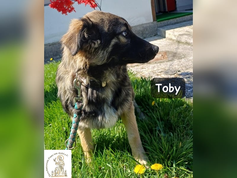 Toby hat Pläne … große!