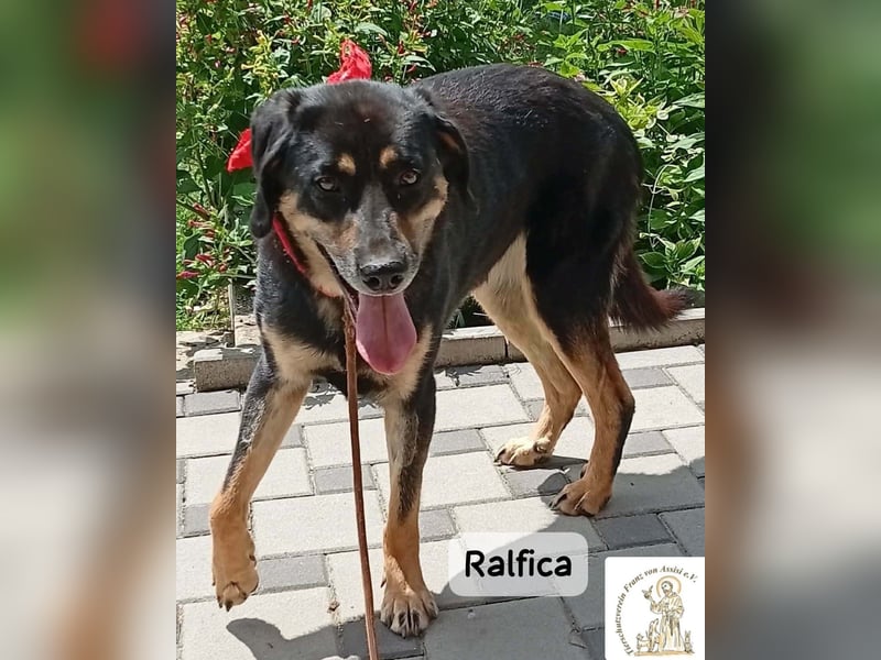 Ralfica – Manchmal braucht ein Herz nur den richtigen Menschen!