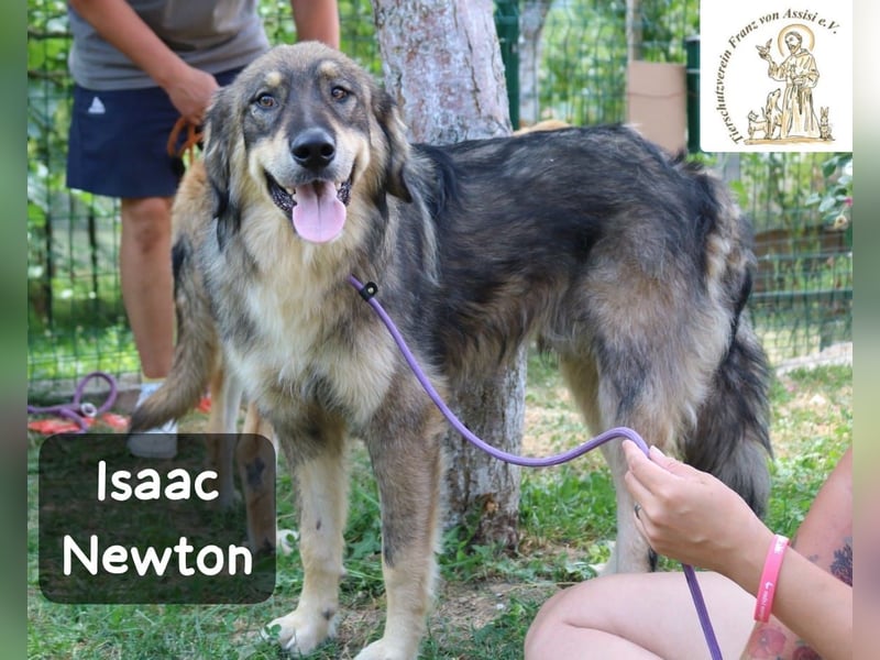 Isaac Newton – Abenteurer auf vier Pfoten!
