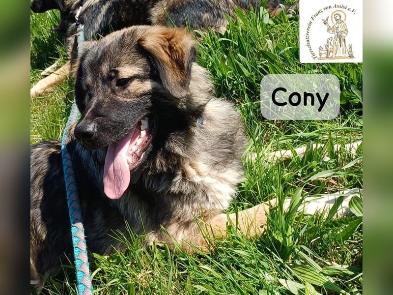 Cony – klug, klar, charakterstark!