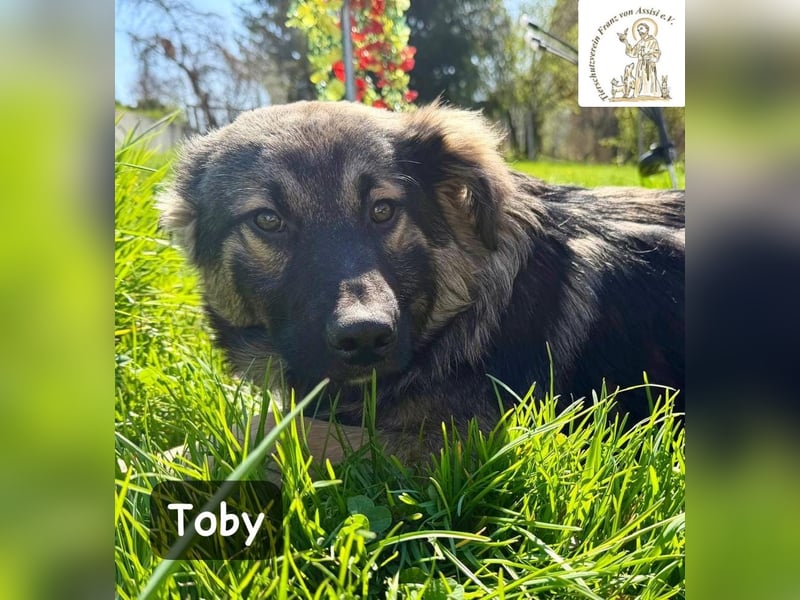 Toby hat Pläne … große!