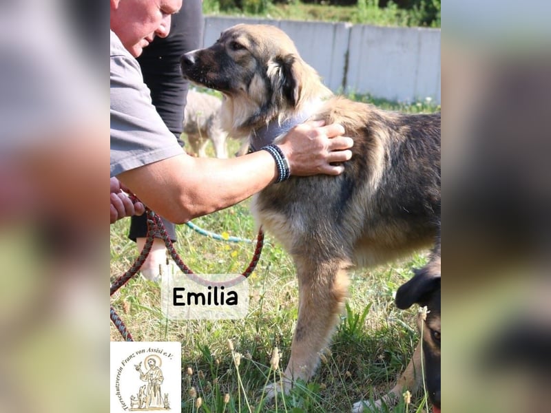 Emilia – mit Klarheit, Herz & Verantwortung durchs Leben!