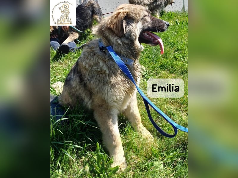 Emilia – mit Klarheit, Herz und Verantwortung durchs Leben!