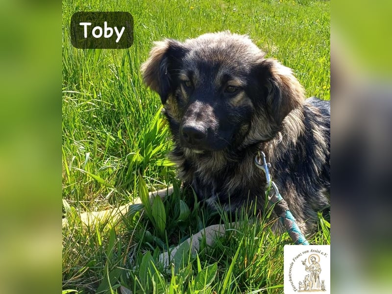 Toby hat Pläne … große!