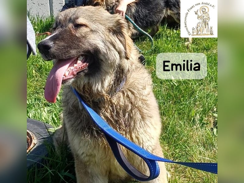 Emilia – mit Klarheit, Herz und Verantwortung durchs Leben!