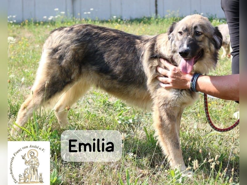 Emilia – mit Klarheit, Herz & Verantwortung durchs Leben!