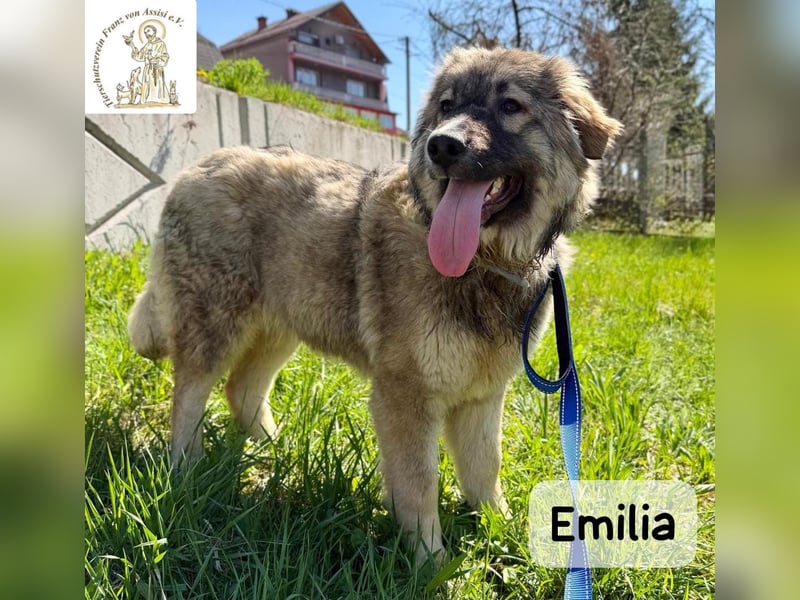 Emilia – mit Klarheit, Herz und Verantwortung durchs Leben!