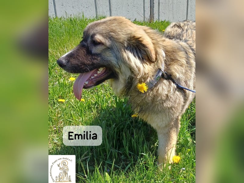 Emilia – mit Klarheit, Herz und Verantwortung durchs Leben!