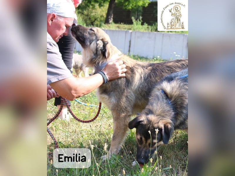 Emilia – mit Klarheit, Herz & Verantwortung durchs Leben!