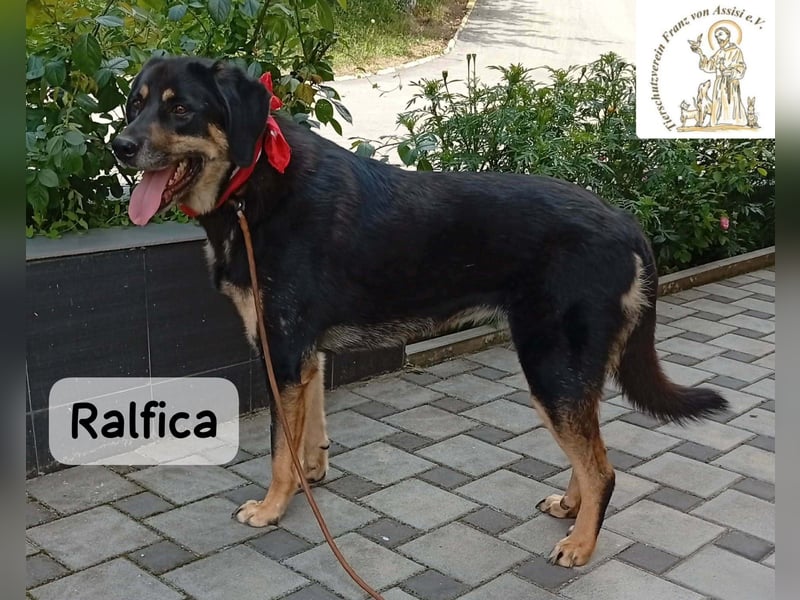 Ralfica – Manchmal braucht ein Herz nur den richtigen Menschen!