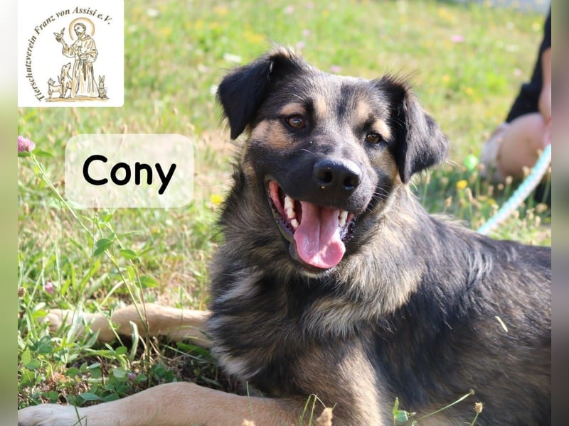 Cony – klug, klar, charakterstark!