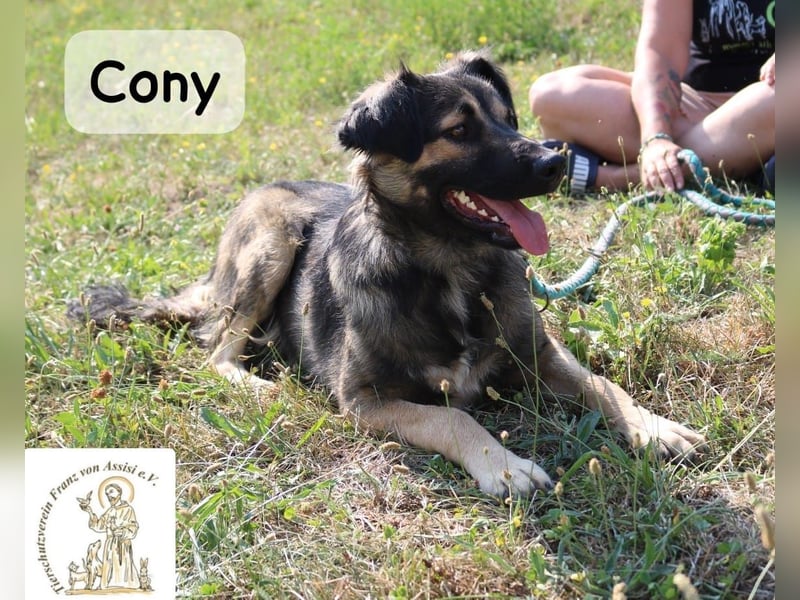 Cony – klug, klar, charakterstark!