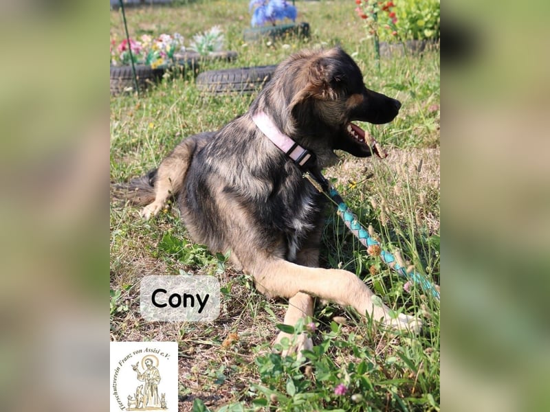 Cony – klug, klar, charakterstark!