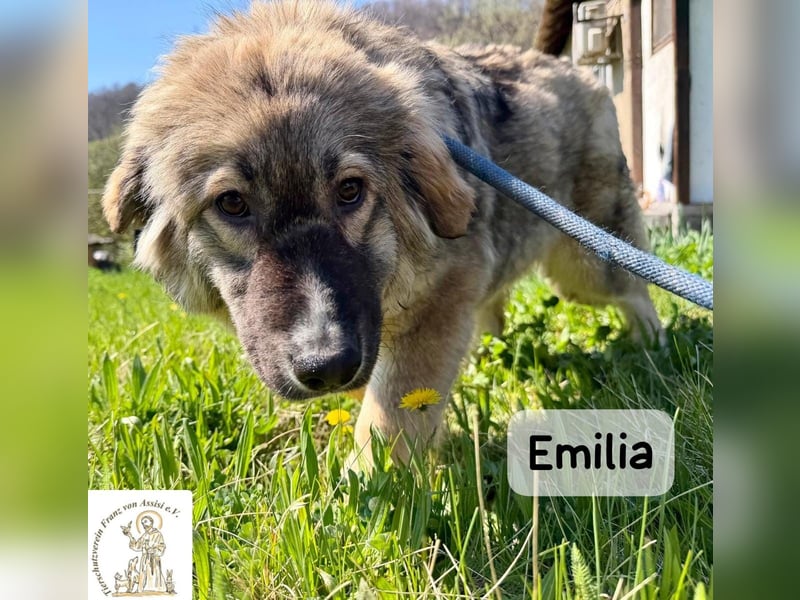 Emilia – mit Klarheit, Herz und Verantwortung durchs Leben!
