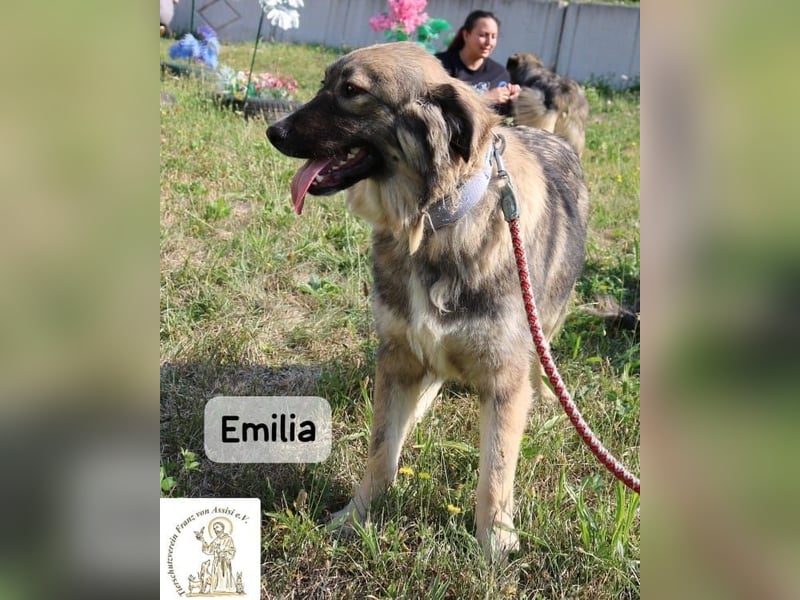 Emilia – mit Klarheit, Herz & Verantwortung durchs Leben!
