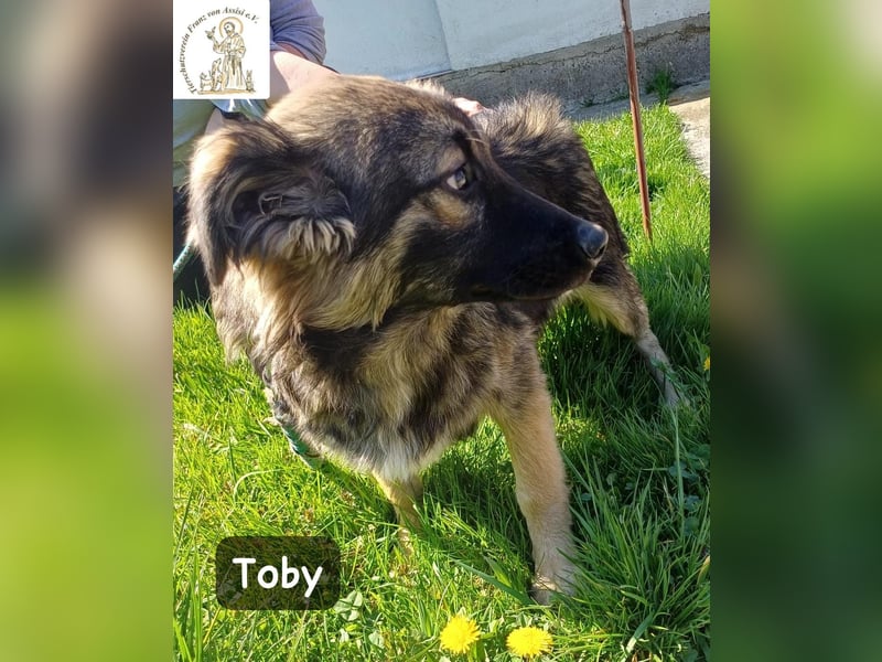Toby hat Pläne … große!