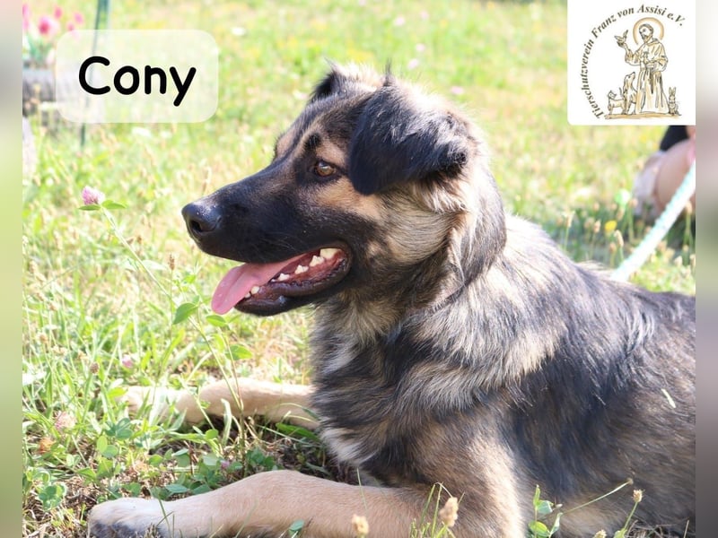 Cony – klug, klar, charakterstark!