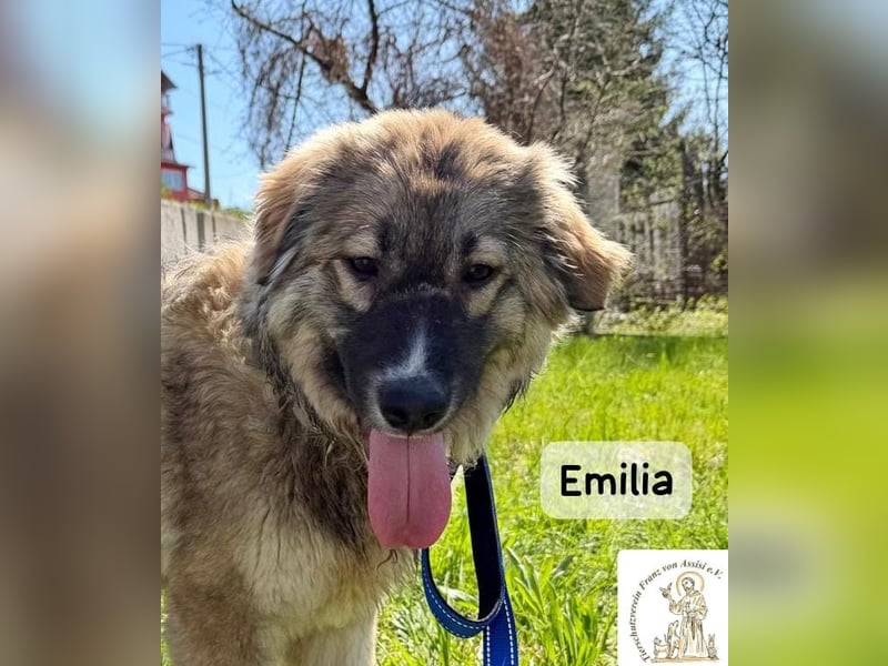 Emilia – mit Klarheit, Herz und Verantwortung durchs Leben!