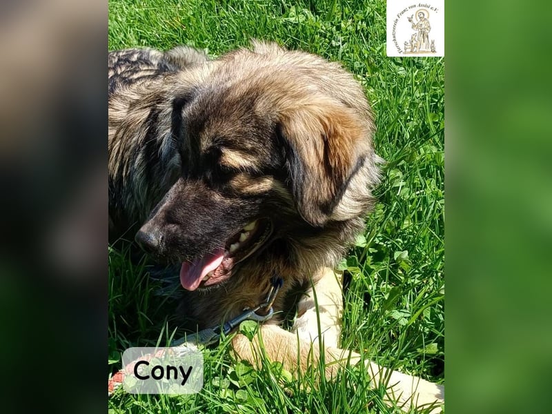 Cony – klug, klar, charakterstark!