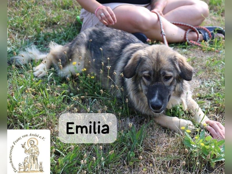 Emilia – mit Klarheit, Herz & Verantwortung durchs Leben!